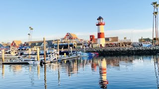 Oceanside Adventures Dolphins & Whale Watching