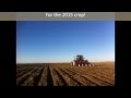 CP Farms Ltd. Planting and Harvest 2014