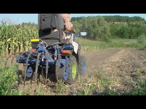 Макет лесные животные Макет лесные животные