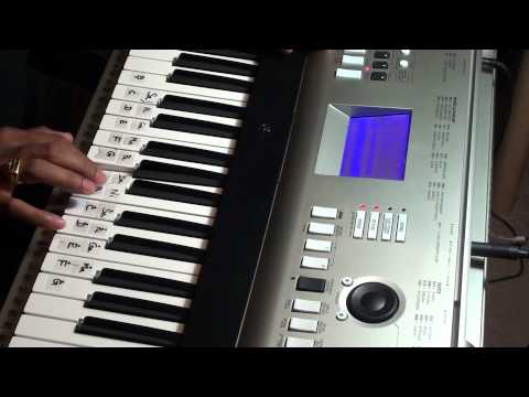 Cheliya Cheliya Chirukopama prelude and pallavi from Telugu...
