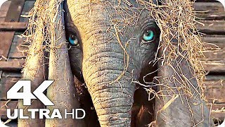 Dumbo Trailer 4K UHD (2019) Disney Movie