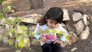 Li Berrûyan Digerîn Lê Mixabin Îsal Gelek Ya Kêm E..ل بەرریان دگەرین بەس مخابن ئەڤ سالە زۆر یا کێمە.