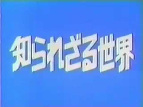 チバテレビ実況ﾏﾀｰﾘ959©2ch.net ->画像>34枚 