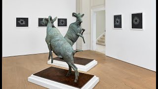 Kiki Smith Timothy Taylor