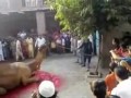 Eid ul azha qurbani
