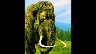 Woolly Mammoth Trumpet