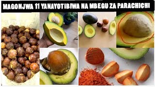 Magonjwa Hatari 11 Yanayotibiwa Kwa Mbegu Za Parachichi Haya Apafaida 11 Za Kokwa La Parachichi