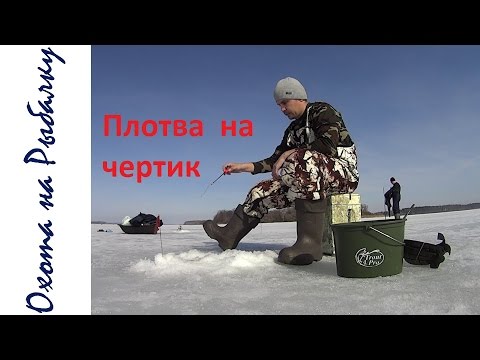 ловля леща весной на чертик ловля леща весной на чертик