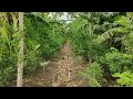 subash palekar natural farming | fruit forest | agriculture friend