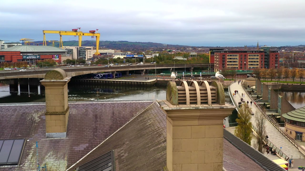 Seagulls Photo Bomb Chimney Inspection @ Custom House, Belfast