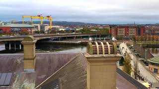 Seagulls Photo Bomb Chimney Inspection @ Custom House, Belfast