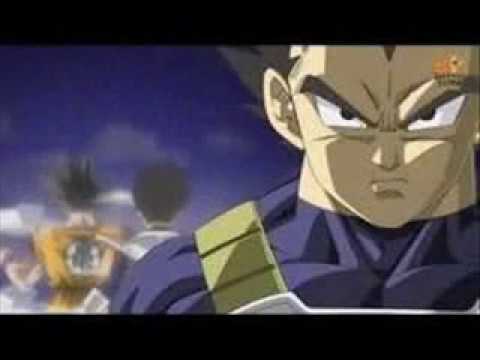 FAMILIA VEGETA familia vegeta: