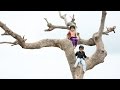 Sairat Zaala Ji Video Song (Kids Version)*