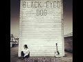 Sam Brookes - Black Eyed Dog