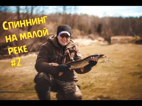запрет на ловлю могилев запрет на ловлю могилев