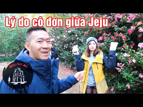 Vì sao lại lựa chọn đảo Jeju - Hàn Quốc?