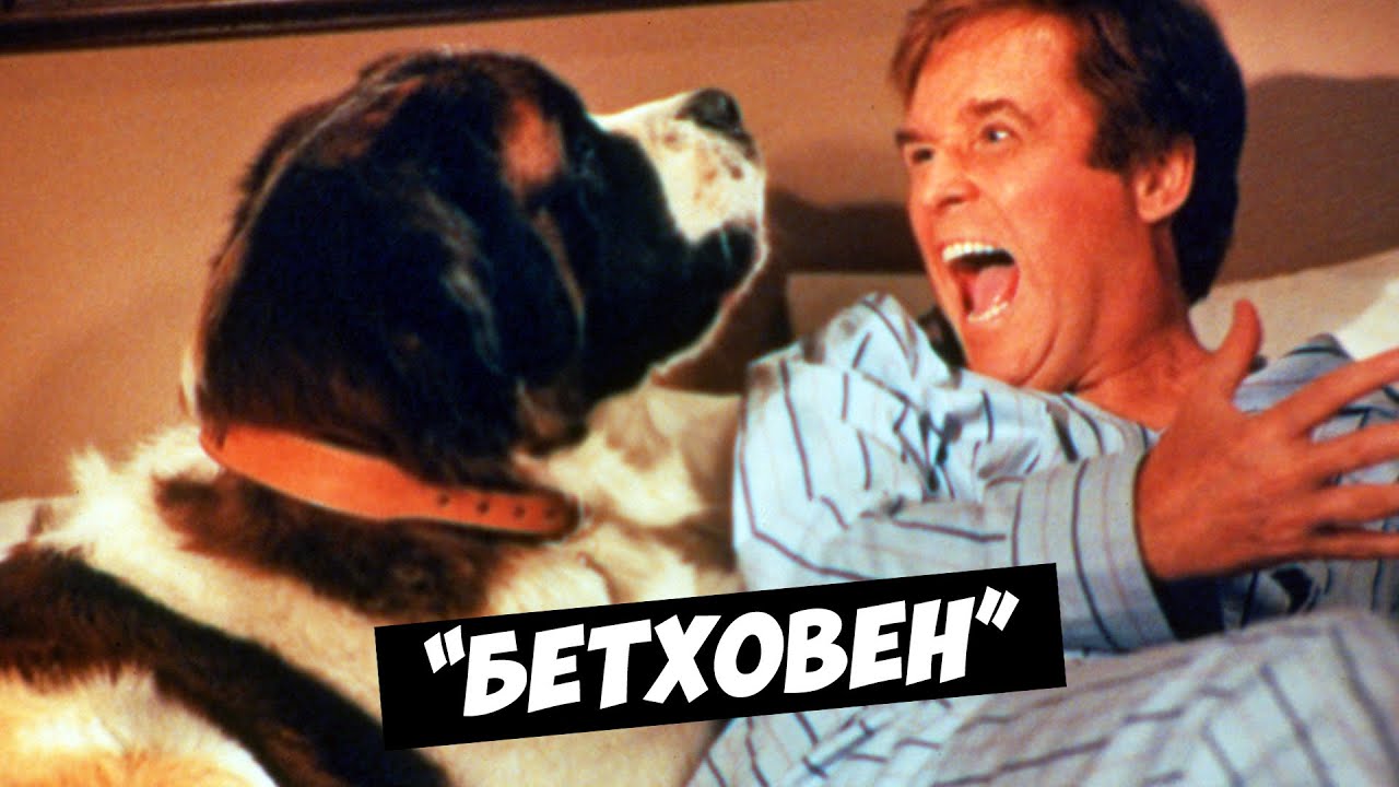 Собака бетховен