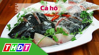 Một số cách chế biến cá hô đơn giản nhưng thơm ngon