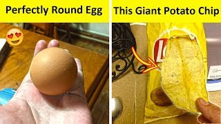 People Who Found The Most Odd Looking Food (NEW PICS!)