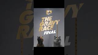 Puff's On A Winning Streak In The Sheba® Gravy Race And Make It To Final! 🏆 Can Puff Win? #Sheba