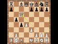 chess openings
