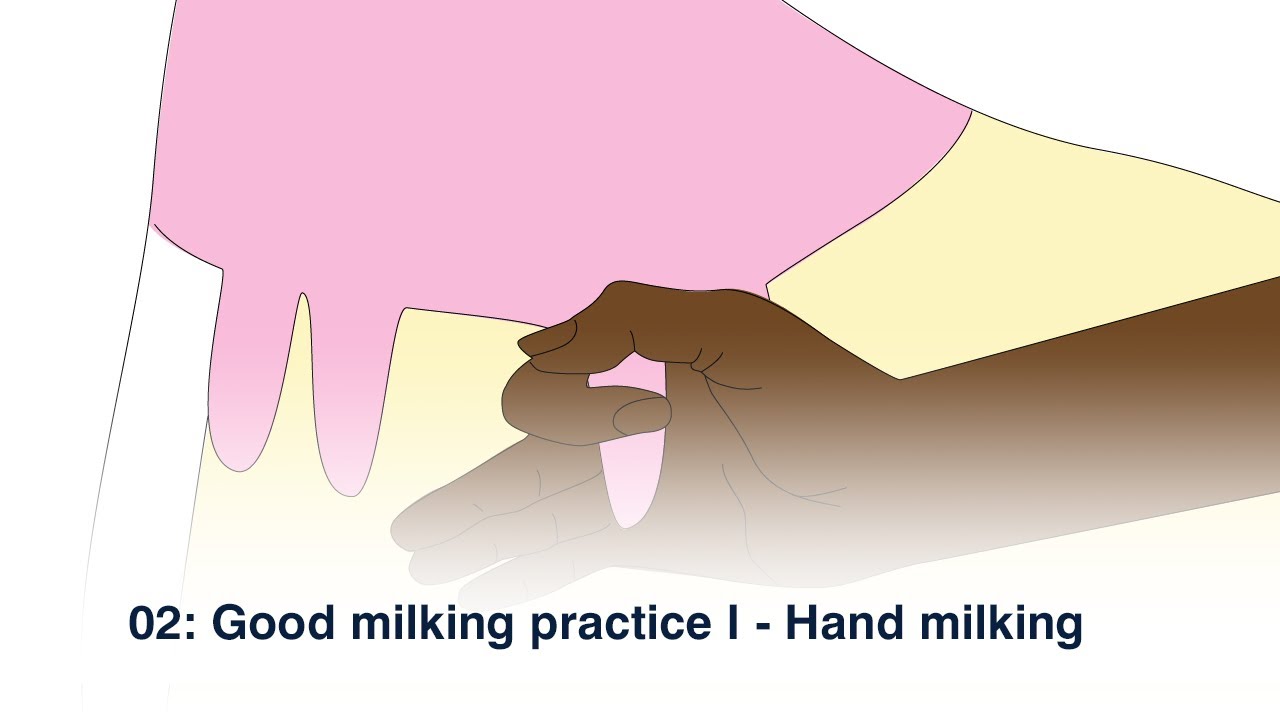 Slow milking