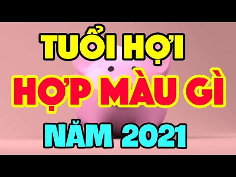 Tuổi Hợi Hợp Màu Gì Năm 2021 MANG LẠI MAY MẮN CÁT LÀNH I Tử Vi 24H