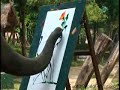 Слон рисует картину