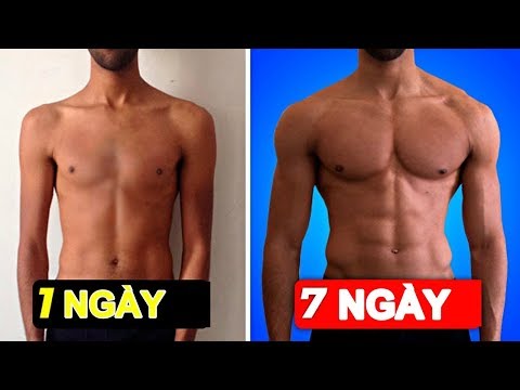 13 BÀI TẬP Gym Nam Tăng Cơ Ngực Săn Chắc Giảm Mỡ | Thể hình nam | tăng cơ giảm mỡ