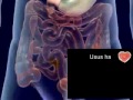 image Sistem Pencernaan Pada Manusia Nurul Anis Safitri Psa
