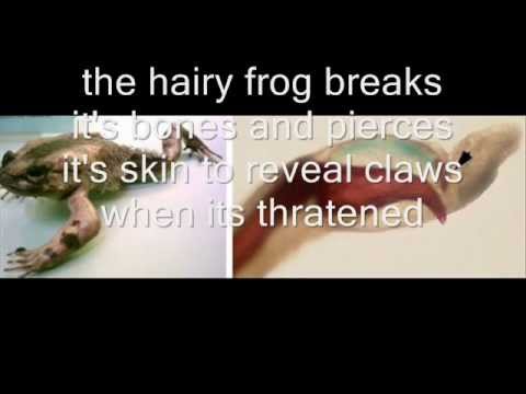 10-cool-animal-mechanisms.html