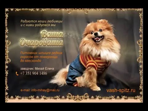 Ватман с днем рождения подруге со сладостями Ватман с днем рождения подруге со сладостями