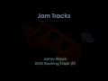 James Brown Style Bass Backing Track (D)