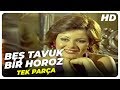 Beş Tavuk Bir Horoz - Türk Filmi (1974)