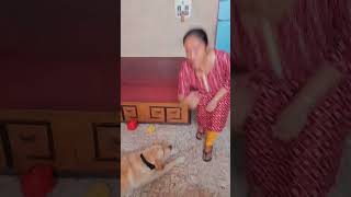 Dog Kiss Viral Video Song
