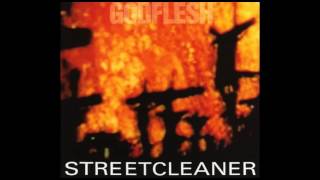 Watch Godflesh Streetcleaner video