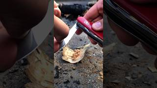 Ways To Use A Firesteel - Blade Swiss Army Knife