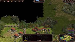 TsuyoFarmer's Adventure on Age of Empires Definitive Edition