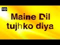 मेने दिल तुझको दिया हिंदी मूवी (HD) - सोहल खान - समीरा रेड्डी - Maine Dil Tujhko Diya Hindi Movie