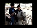 izak ,,pony.wmv