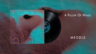 Watch Pink Floyd A Pillow Of Winds video
