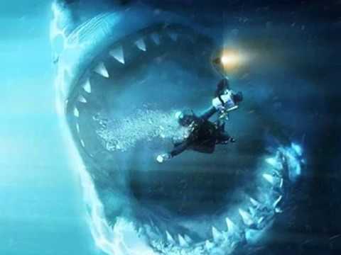 Watch the megalodon story