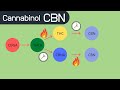 What is Cannabinol (CBN)? Where does it come from? What does it do?