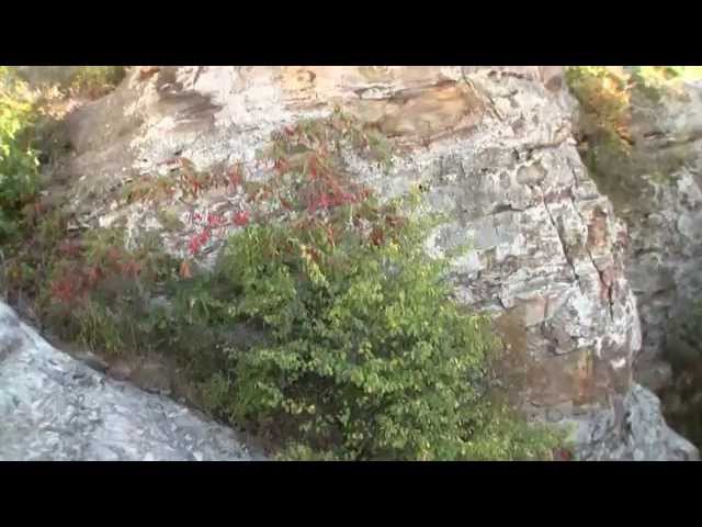 Garden of the Gods - Shawnee National Forest - Illinois