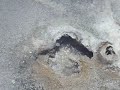 fumarole
