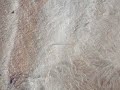 fumarole