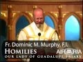 Jul 21 - Homily: St. Lawrence of Brindisi Jul 21 - Homily: St. Lawrence of Brindisi