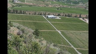 Culmina Family Estate Winery