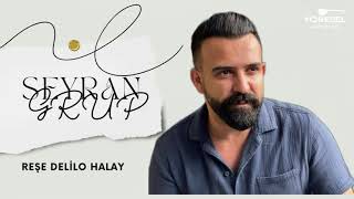 Grup Seyran - Reşe / Delilo Halay  / Yeni 2024 !!