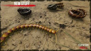 Everything You Need To Know About Centipedes In Green Hell!